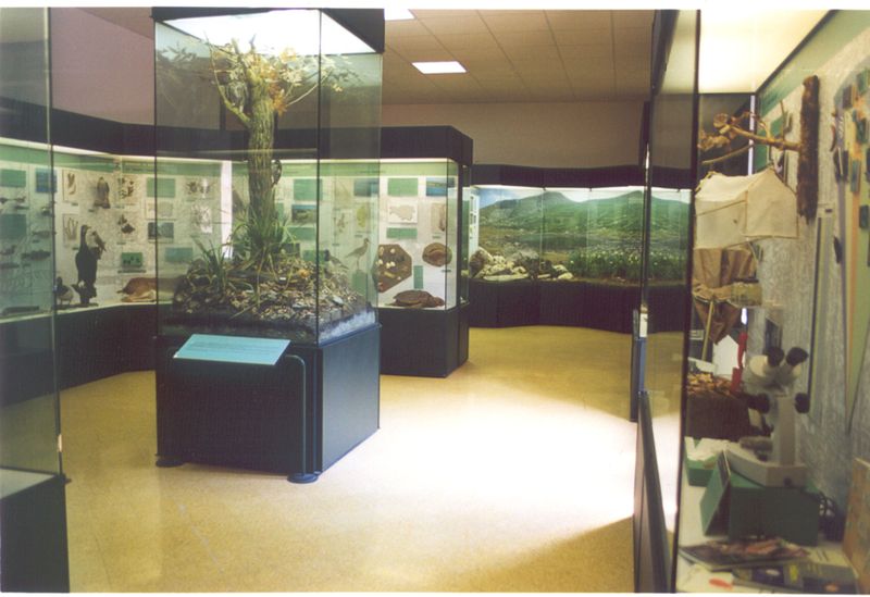 Sala della sezione "Ambiente Terra"